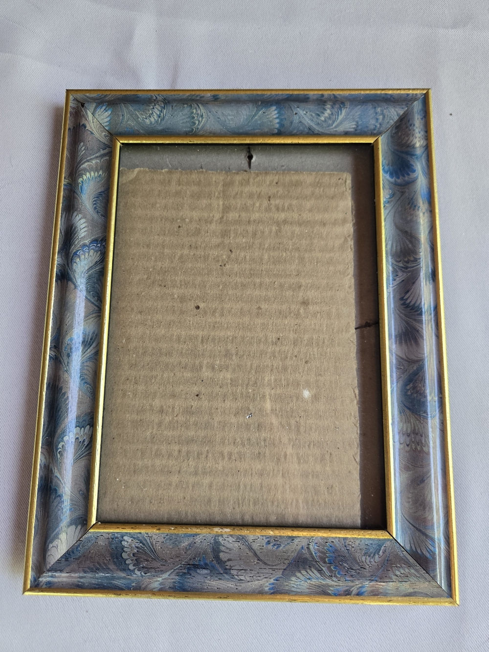 Fetco Feather Pattern Picture Frame with Gold Trim